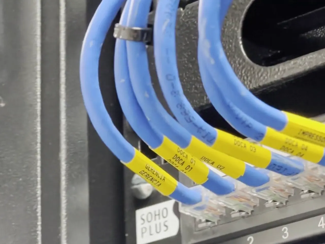 Rack de rede com patch cords identificados
